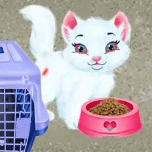 Baby Taylor Pet Care