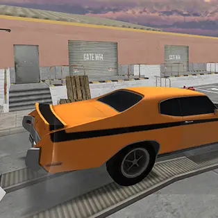 Backyard Car Parking