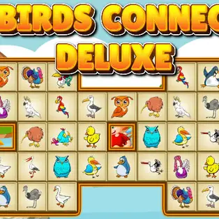 Birds Connect Deluxe