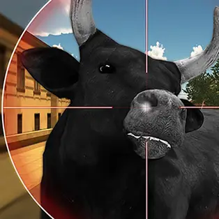 Bull Shooting