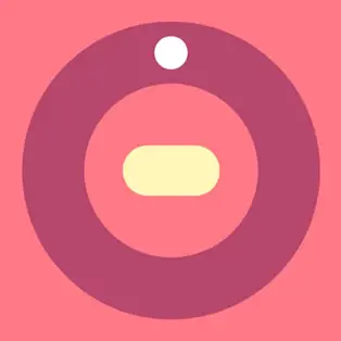 Chaotic Spin