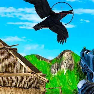 Chicken and Crow Shoot
