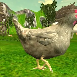 Chicken Shooting