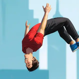 Flip Master
