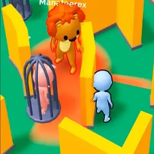 Hide Find Seek 2023