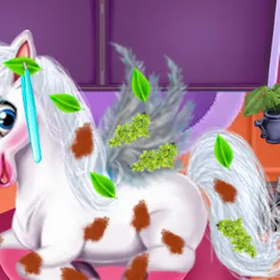 Magic Pet Salon
