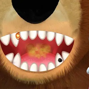 Masha And The Bear Dentist Game