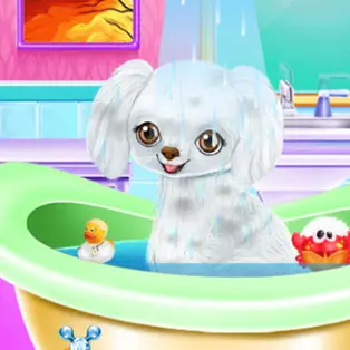 My New Poodle Friend