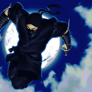 Ninja Defender
