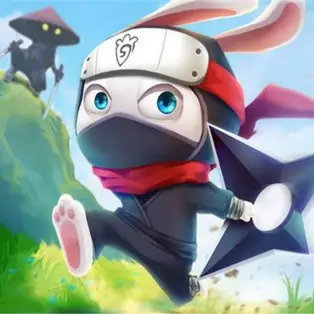 Ninja Rabbit