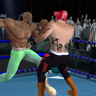 Real Boxing Fighting Game