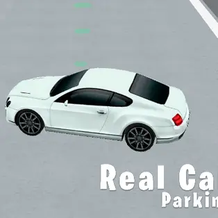 Real Car Parking 3D