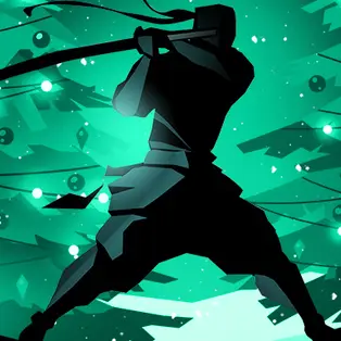 Shadow Fight