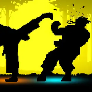 Shadow Fights