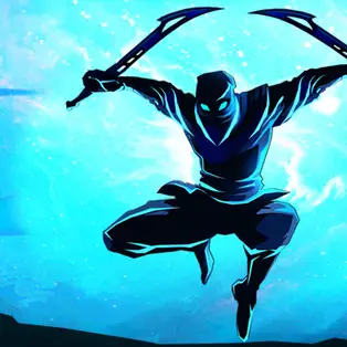 Shadow Ninja Warriors