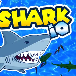Shark io