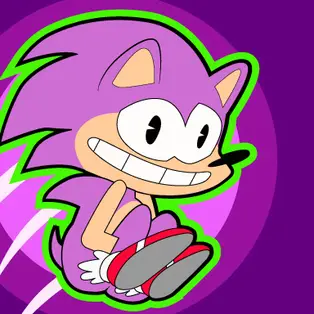 Sonic Rush Toilet