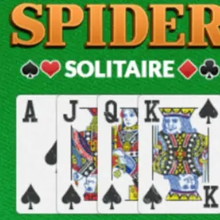 Spider Solitaire Pro