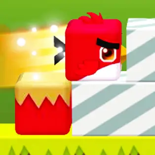 Square Bird