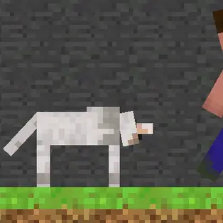 Steve and Wolf