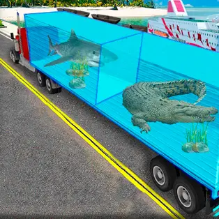 Transport Sea Animal