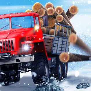 Truck Driver Snowy Roads