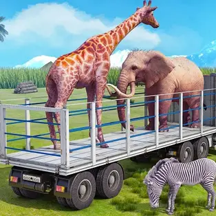 Truck Driving Animal Transport