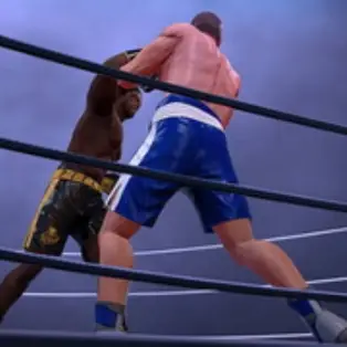 Ultimate Boxing - The Boxing King